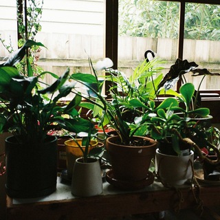 Grief Ritual: Village